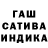 Каннабис индика The TrappHouse