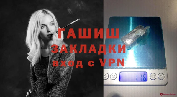 PSILOCYBIN Гатчина
