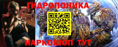 apvp Лесосибирск