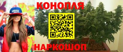 apvp Лесосибирск
